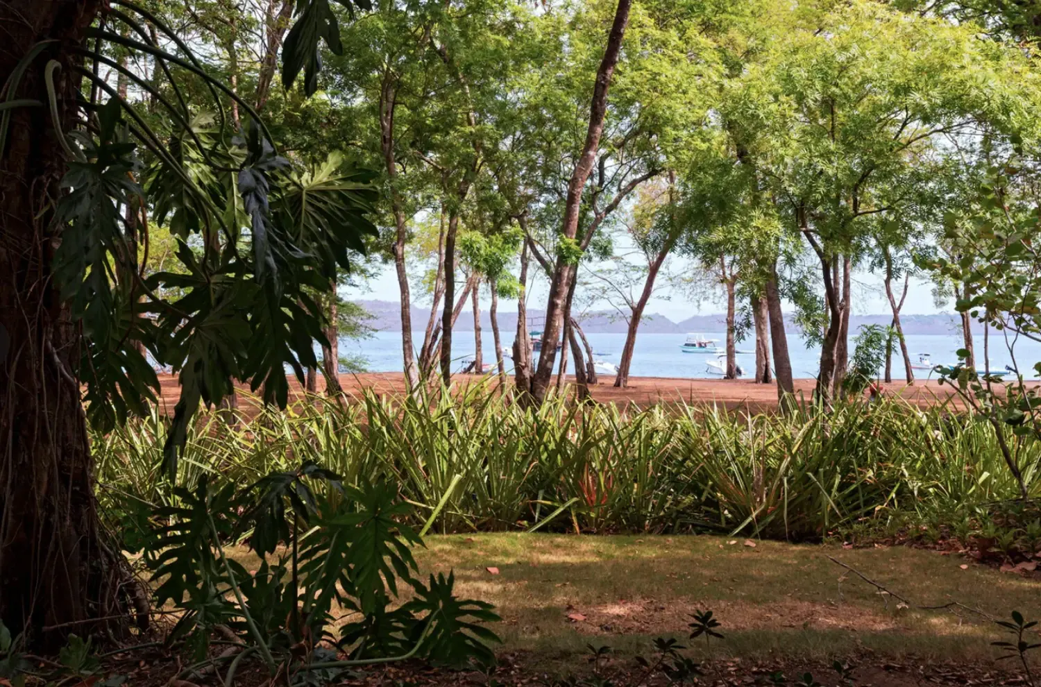 Screen Shot 2025-10-01 at 8.46.27 PM