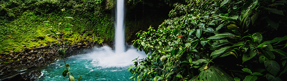 costa-rica-in-pictures-beautiful-places-to-photograph-corcovado-national-park-1 costa-rica-in-pictures-beautiful-places-to-photograph-corcovado-national-park-1